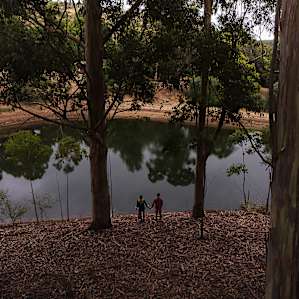 The view from Running Brook campsite.