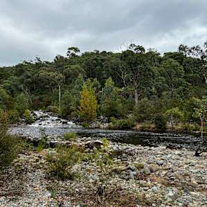Elm Grove Picnic Ground Campsite