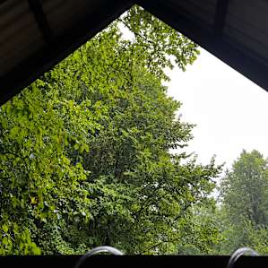 Elm Grove Picnic Ground Campsite