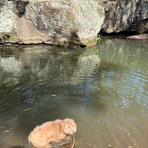 Warrumbungles Mtn Motel Campground