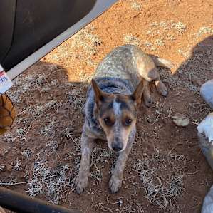 Teco Echo Ranch
