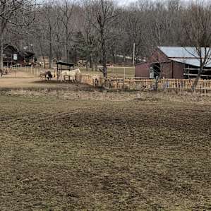 A beautiful morning view as the farm wakens up.