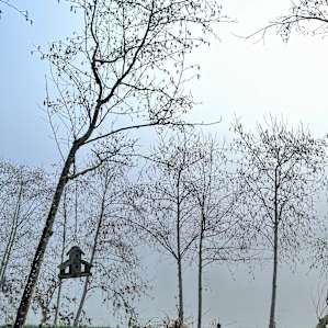 Relax by the River