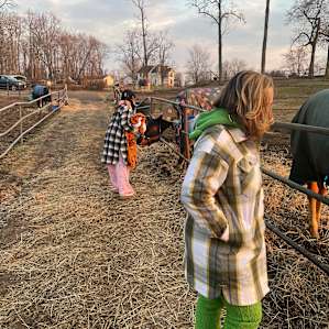 Horse Farm Camping