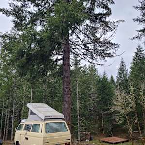Quiet Woodland Camping