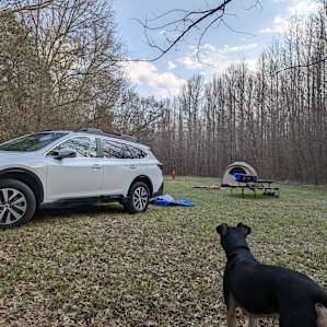 Site 3