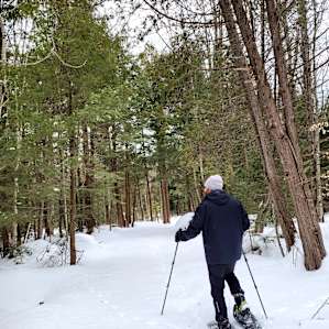 Snowshoeing through the forests around the yurtle