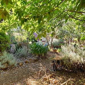 Lavender View Campground 3