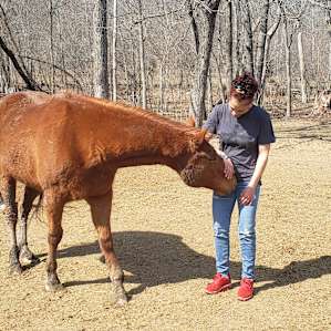 Hummingbird Hollow Farm Sanctuary