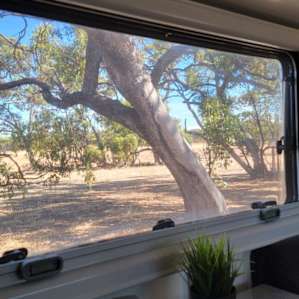 Our breakfast view