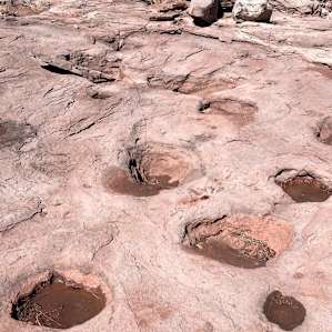 Dinosaur Tracks Ranch