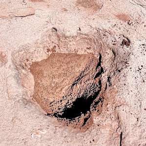 Dinosaur Tracks Ranch