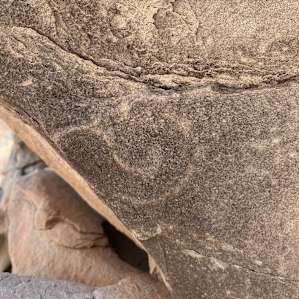 Dinosaur Tracks Ranch