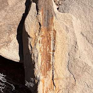 Dinosaur Tracks Ranch