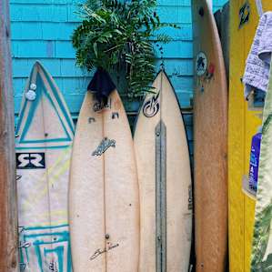 🚎 CaMper Van Spot in ❤️ of Haleiwa