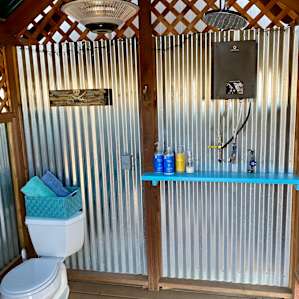 Toilet and amazing rain shower
