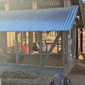 Chicken coop