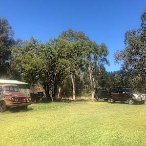 Shady Green Land