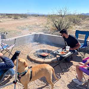 Campfire hotdogs