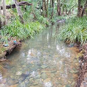 Great little creek next to the campsite.