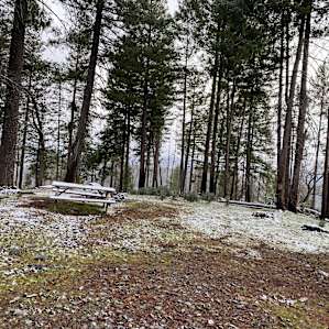 160 Acres amidst National Forest