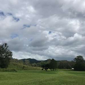 Private Rainforest Creek Camp