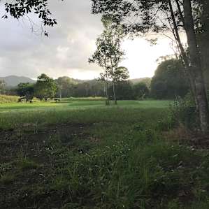 Private Rainforest Creek Camp