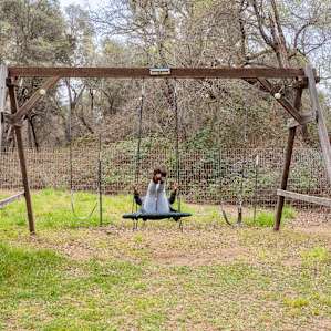 Another swing set right by the campsite