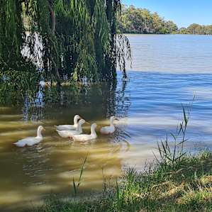 Murray River Retreat