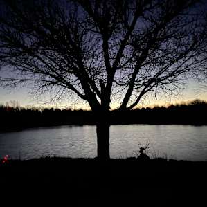 A peaceful morning at Scaife Pond
