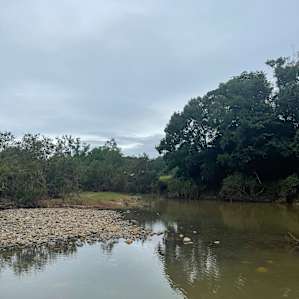 The River Orchard - Flats site