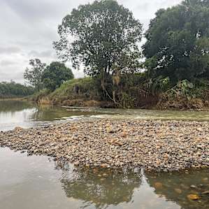 The River Orchard - Flats site