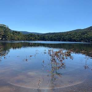 Mount Sugarloaf Avoca