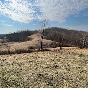 View from the cabin