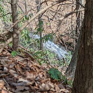 It was very hard to get a good photo of the waterfalls because of the distance and all the brush in the way. Here is one of them.