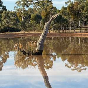 Dam photo.