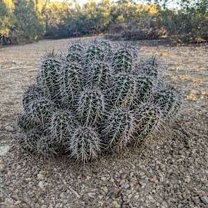Peaceful primitive camping