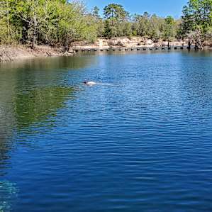 Owens Spring