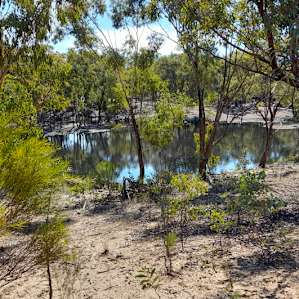 Woodland dam