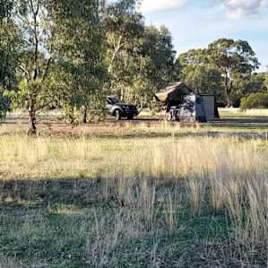 Woodland campsite
