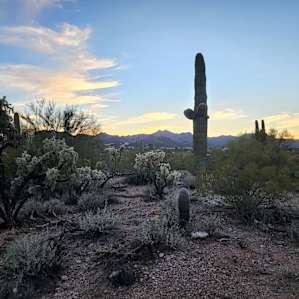 Sonoran Desert Retreat