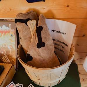 Super pet friendly, complete with a blanket for my pup and welcome treats.