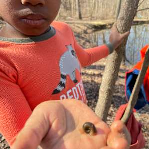 Snail friend from the pond