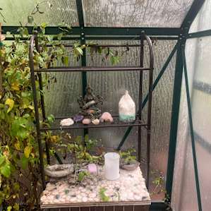 Forest Fairy Glampy tent