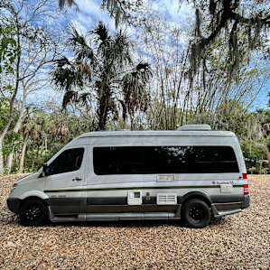 Bayou Bliss