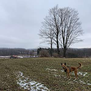 Spring lake retreat on the farm