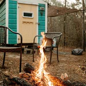 Cozy Pineland Micro-Cabin