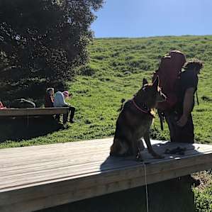 Dog loved the trip. Ticks loved the dog :-)