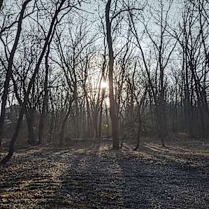 Railroad creek camp ground