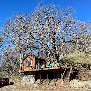 Treehouse